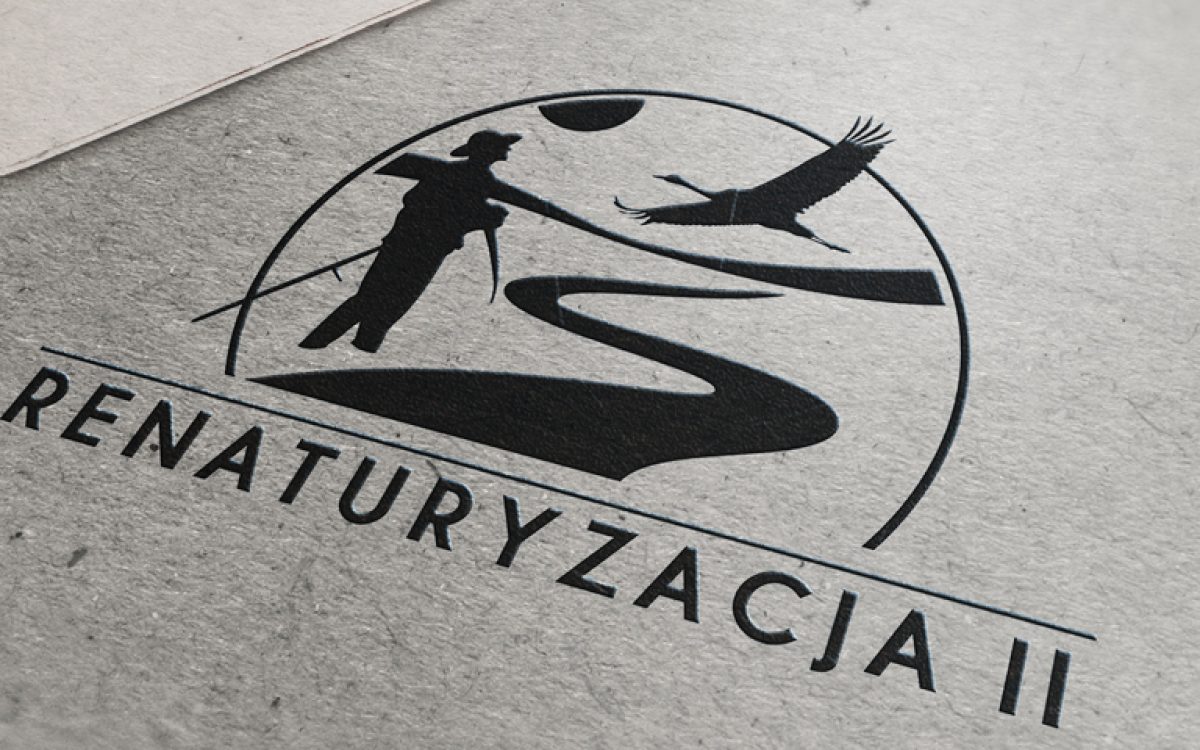Renaturyzacja II - Projekt logo - Pełna księga znaku - Białystok - Warszawa