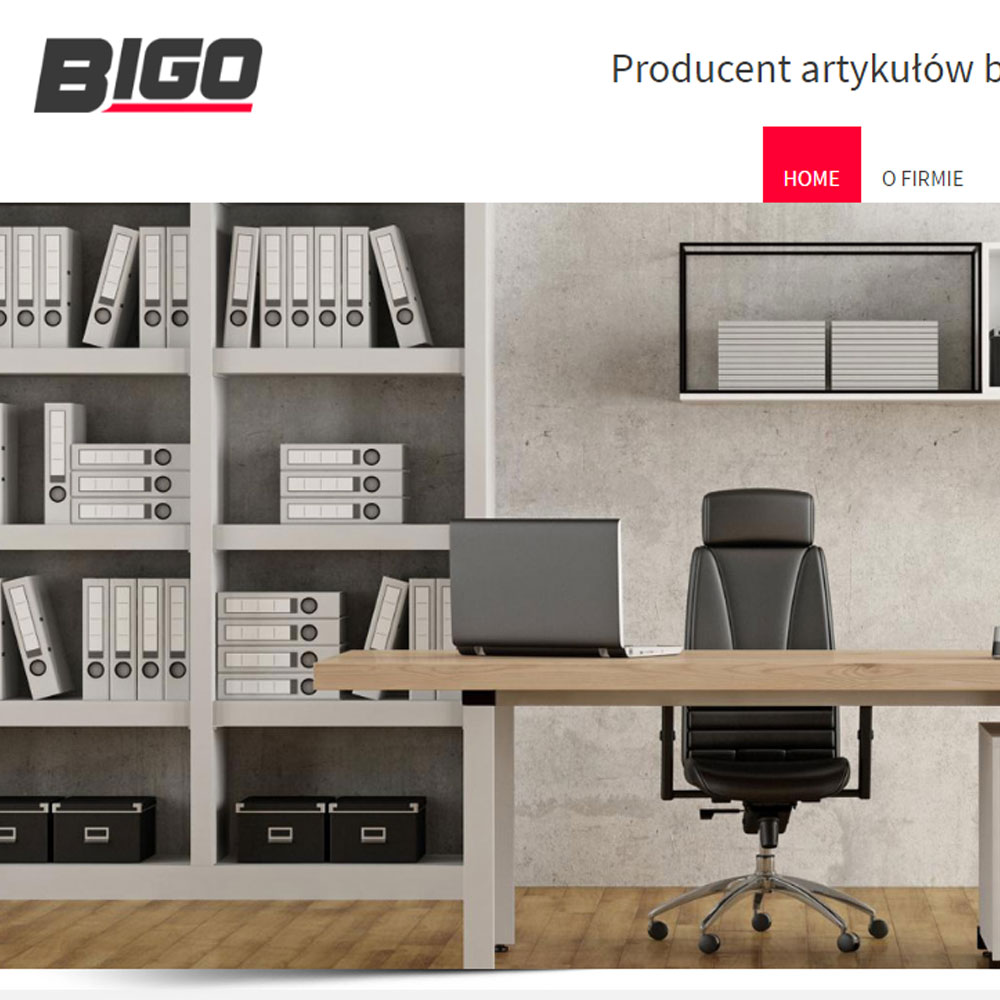 Strona internetowa – www.bigo.com.pl