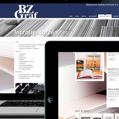 Strona internetowa – www.bzgraf.pl