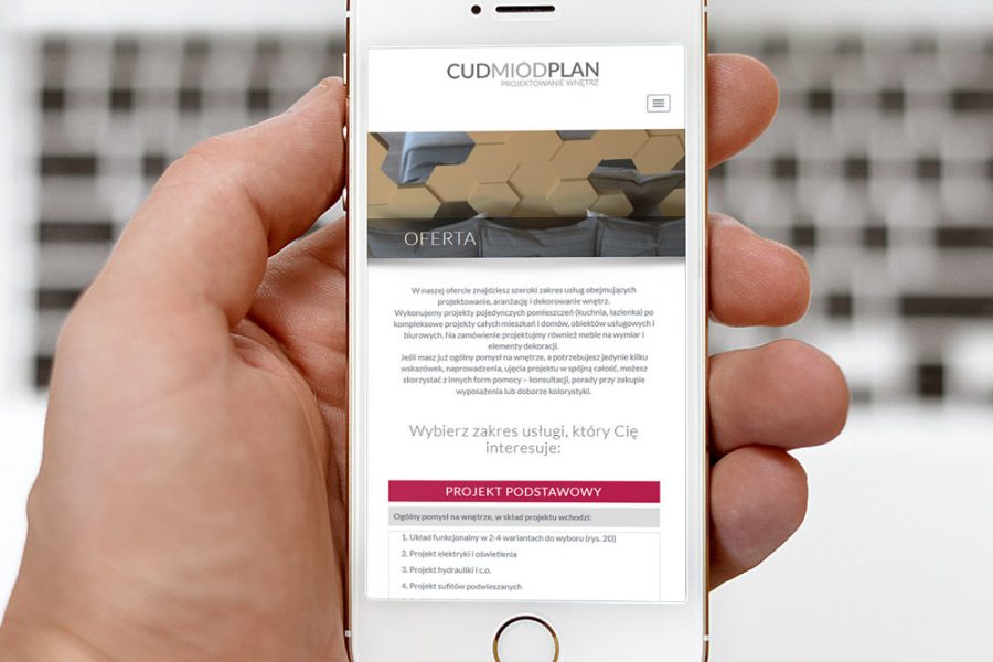 Strona internetowa – www.cudmiodplan.pl