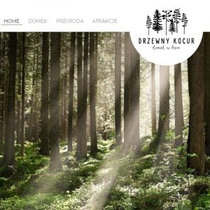 Projekt strony internetowej Drzewny Kocur - Domek w lesie - Clouds Agencja Reklamowa Białystok