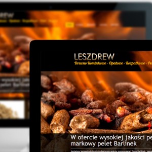 Leszdrew - Strony internetowe - Białystok